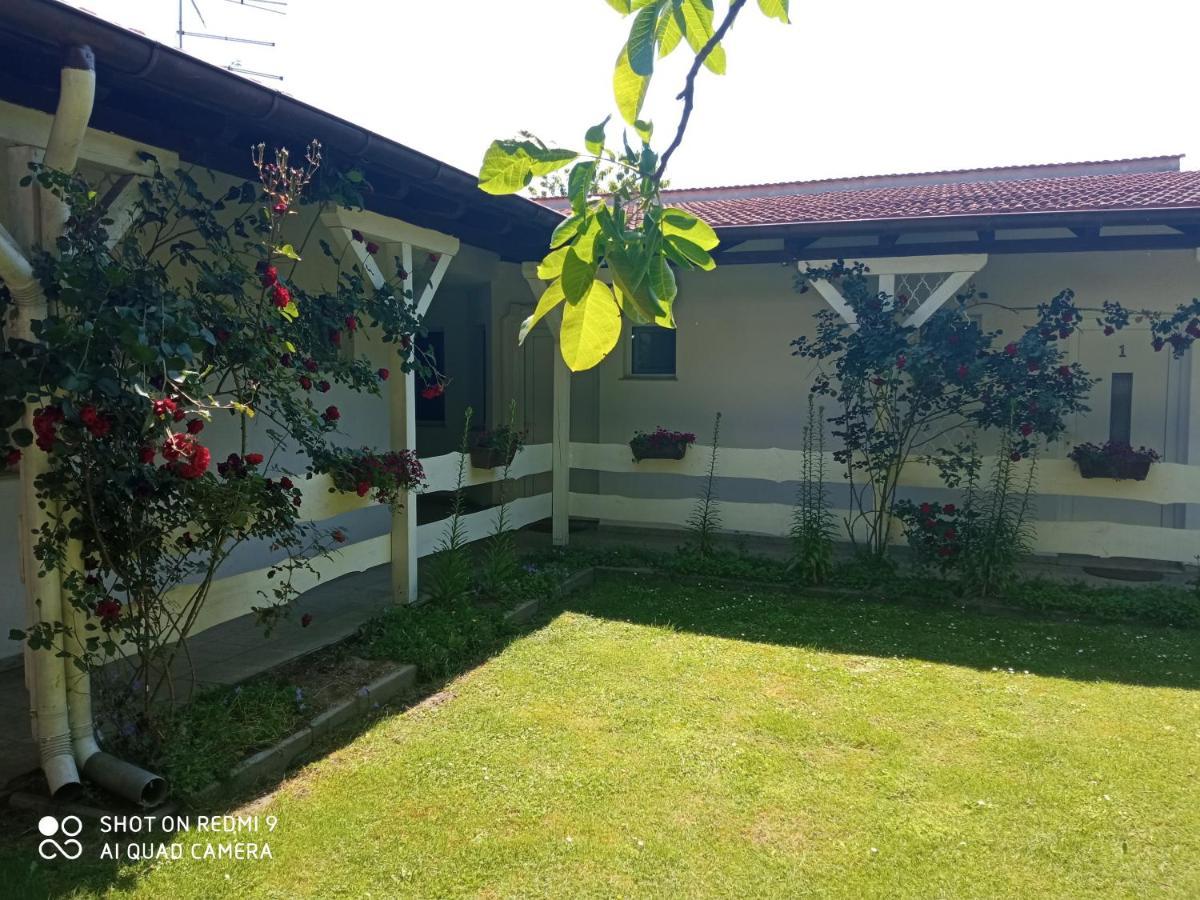 Rooms Lutra Bilje Bagian luar foto
